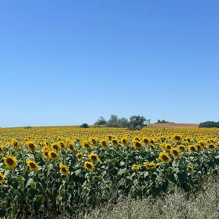 Apartament Vineyard Aheloy - Muscat-6 Kableshkovo (Burgas)