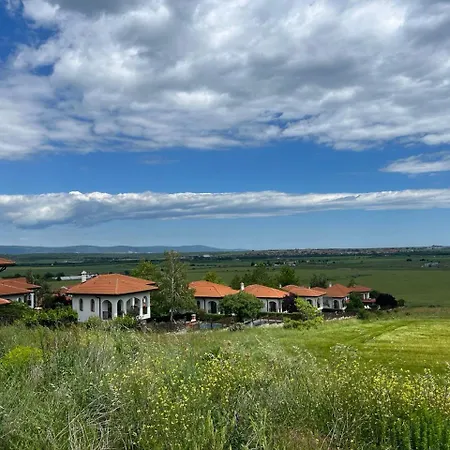 Vineyard Aheloy - Muscat-6 *