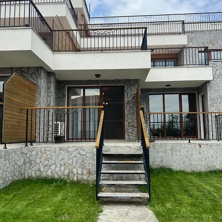 Vineyard Aheloy - Muscat-6 Kableshkovo (Burgas)