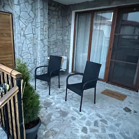 Vineyard Aheloy - Muscat-6 *