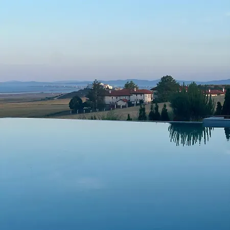 Daire Vineyard Aheloy - Muscat-6 Kableshkovo (Burgas)