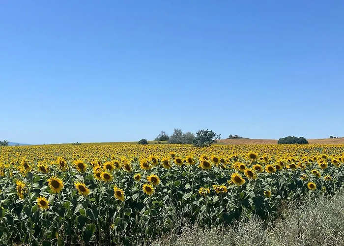 Appartamento Vineyard Aheloy - Muscat-6 Kableshkovo (Burgas)