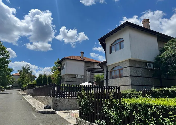 Vineyard Aheloy - Muscat-6 *