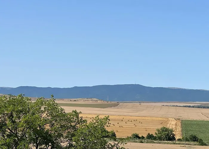 Appartamento Vineyard Aheloy - Muscat-6 *