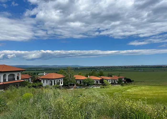 Vineyard Aheloy - Muscat-6 *