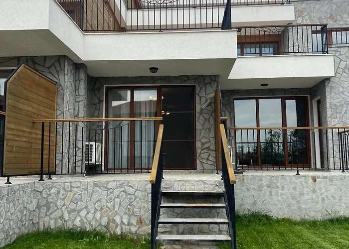 Vineyard Aheloy - Muscat-6 Kableshkovo (Burgas)