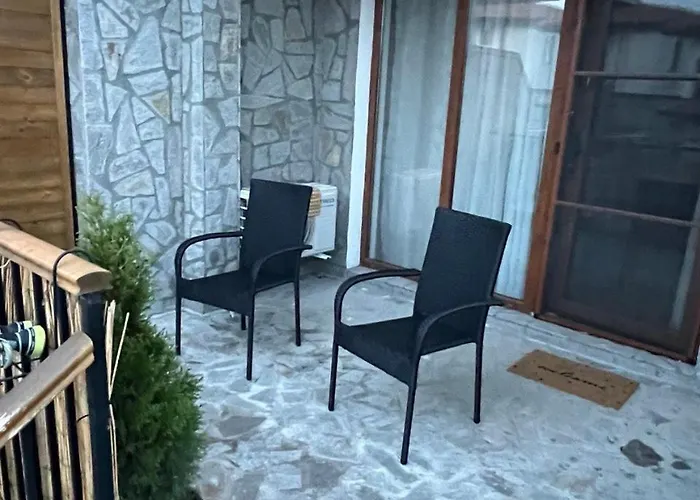 Vineyard Aheloy - Muscat-6 *